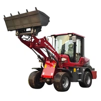 Compact Articulating Loader
