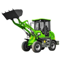 Small Articulating Loader