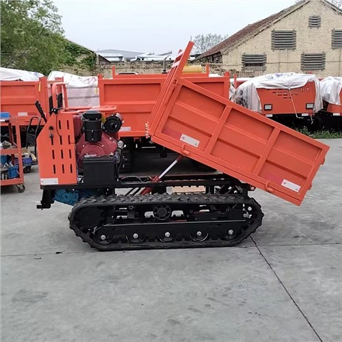 Brick-moving Lasa Transport Truck