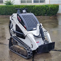Diesel Crawler Mini Excavator