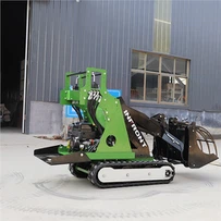 Lawn Tractor Mini Loader