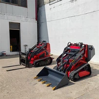 Multi-function Mechanical Slip Loader