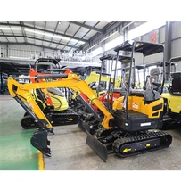 Multifunctional Excavator