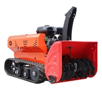 Radio Controlled Snow Blower