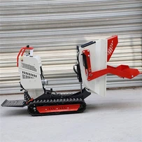 Small Hydraulic Dump Truck