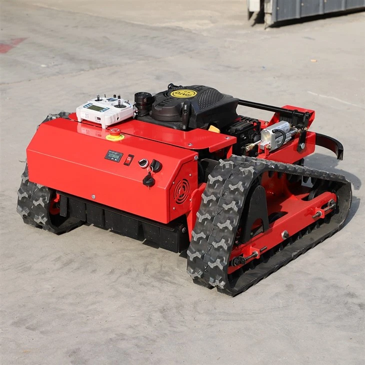 RC550S Lawn Mower